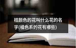 橘色花叫什么名字好听