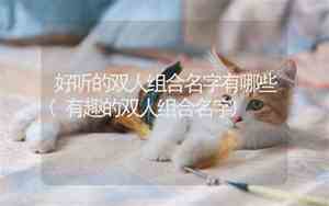 好听的双人画展名字