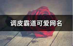 调皮网名