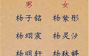 杨姓鼠宝宝名字女孩名字