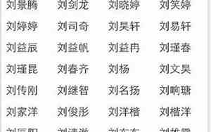 姓刘霸气的宝宝名字