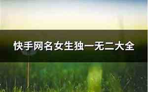 快手网名女生