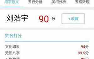 公司起名评分测试