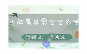 生了鼠宝宝的名字