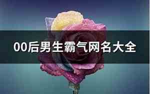 00后霸气网名