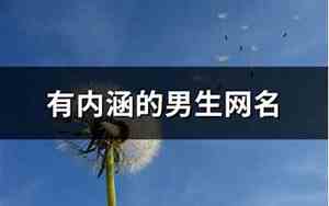 内涵网名男生