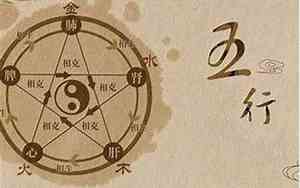 杨家好名字五行属什么