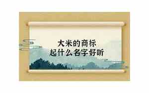 大米公司起名什么堂