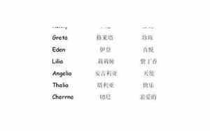 一鸣惊人的好名字英文