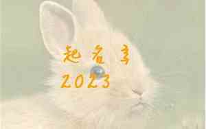 包姓兔宝宝名字大全