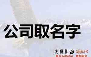 平台起名公司靠谱