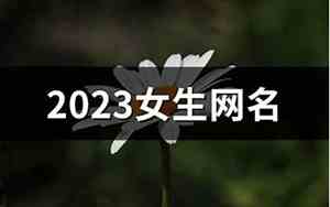 女生网名精选
