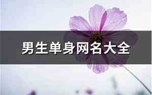 男生单身网名大全