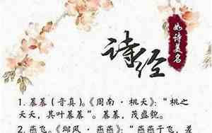 何陈取什么名字好听