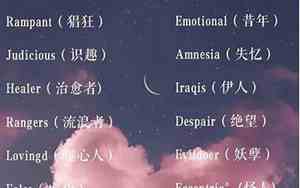 外国人起的网名