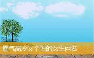 好冷的网名