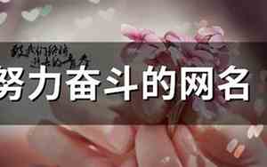 努力奋斗的网名