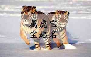 七个虎宝宝的名字怎么取