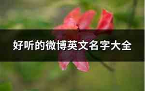 收集好听的微博名字
