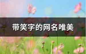 带笑字的网名