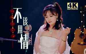 不该用情好听女翻唱