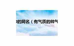 有气质网名