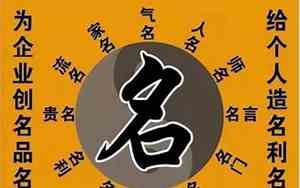 新奇有创意的公司名字