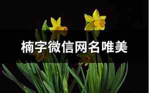 与楠字有关唯美的网名