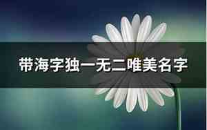 好听高档海的名字