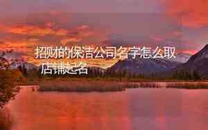 招财的保洁公司名字