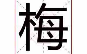 好听的梅姓名字