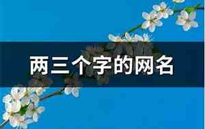 两三个字的网名
