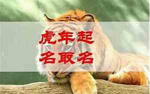23年属虎男孩好名字