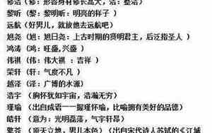 仙君好听的小说名字