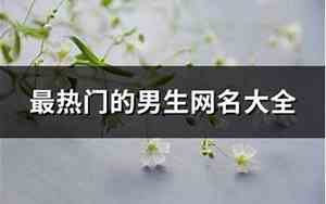 热门网名男生