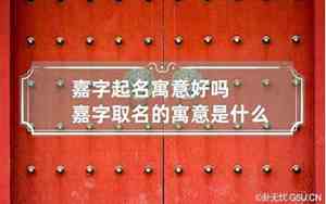 嘉腃公司起名寓意是什么