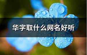取什么网名好听
