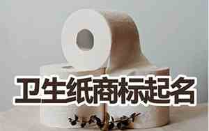 公司起名卫生纸怎么起