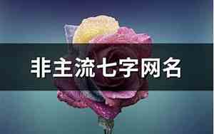 七字网名