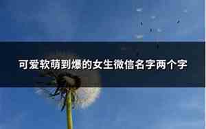 微信两个字好名字女生