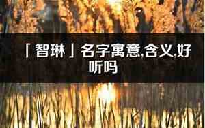 智昱的名字好听吗