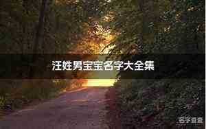 男宝宝姓汪名字大全