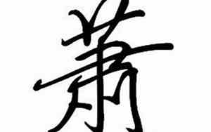 姓萧寓意好名字女孩