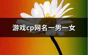 cp网名