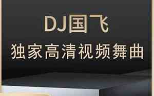 好听的dj中文歌曲100首