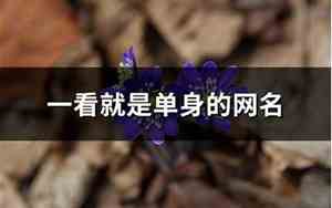 单身的网名