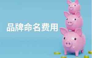 公司起名费用多少钱合适