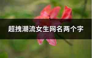 女生网名吧