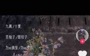 姐妹qq网名女生森系两个字