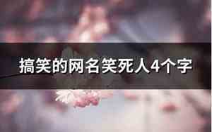 搞笑的网名笑死人